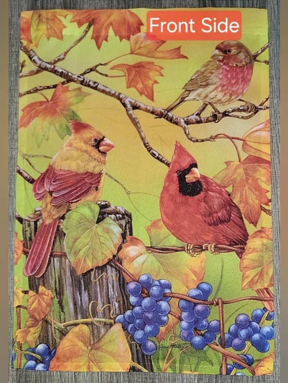Decorative Autumn Garden Flag Multi-colored! Birds, Grapes & Leaves